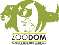 log_zoodom