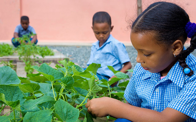 Eco Escuelas