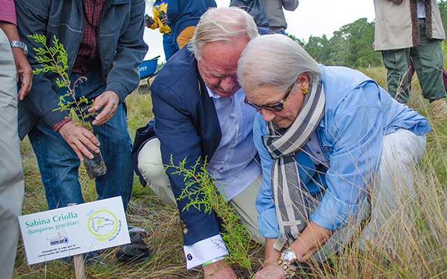 Jornadas de Reforestación