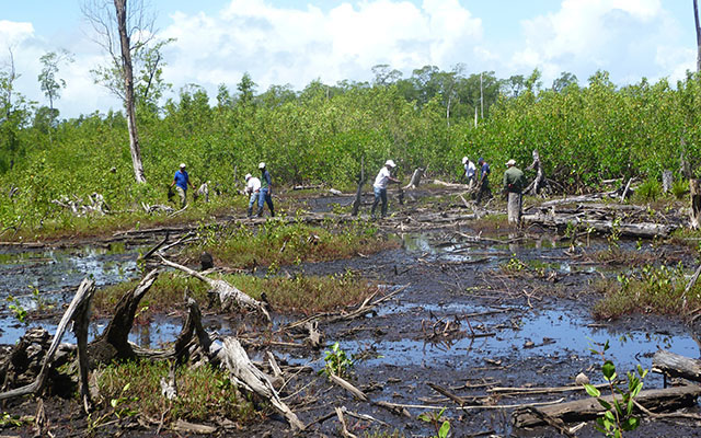 Cogestión Parque Nacional Manglares del Bajo Yuna