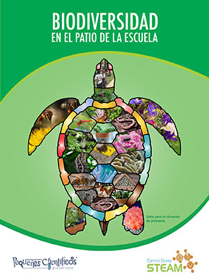 Biodiversidad en el patio de la escuela