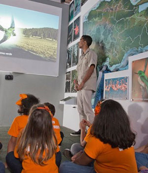 Museo Infantil Trampolín- Sala Naturaleza, Relación y Equilibrio